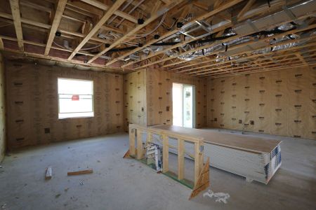 New construction Single-Family house 5238 Currant Street, Lakeland, FL 33811 Marina- photo 30 30