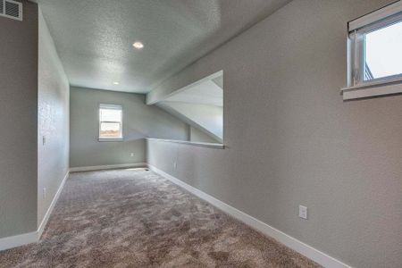 New construction Townhouse house 6248 Vernazza Way, Windsor, CO 80550 - photo 75 75