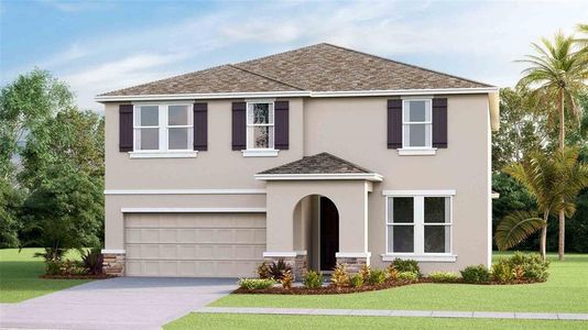 New construction Single-Family house 260 Mangrove Manor Drive, Apollo Beach, FL 33572 HEMINGWAY- photo 0 0