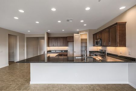 New construction Single-Family house 2513 North Bronco Lane, Casa Grande, AZ 85122 - photo 15 15