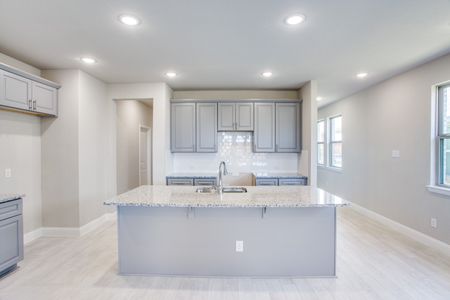 New construction Single-Family house 2703 Woodland Court, Wylie, TX 75098 - photo 18 18
