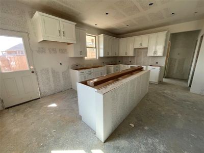 New construction Single-Family house 1003 Palo Brea Loop, Hutto, TX 78634 Knox Homeplan- photo 4 4
