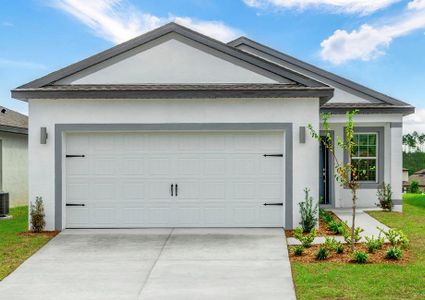 New construction Single-Family house 29284 Fedora Circle, Brooksville, FL 34602 - photo 0