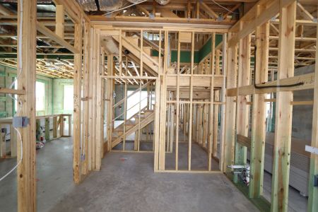 New construction Single-Family house 2522 Sunny Pebble Loop, Zephyrhills, FL 33540 Mira Lago- photo 50 50