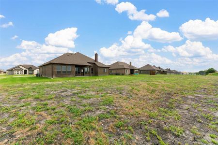 New construction Single-Family house 1855 Creekview Lane, Josephine, TX 75173 - photo 27 27