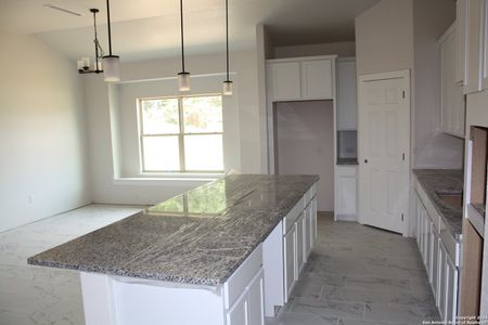New construction Single-Family house 31045 Clover Pass, Bulverde, TX 78163 - photo 5 5