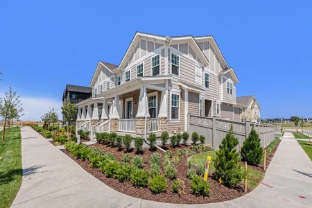 New construction Single-Family house 168 Ash Circle, Erie, CO 80516 Sycamore Villa- photo 14 14