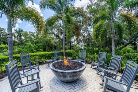 New construction Single-Family house 1529 Rio Vista Terrace, Parrish, FL 34219 - photo 15 15