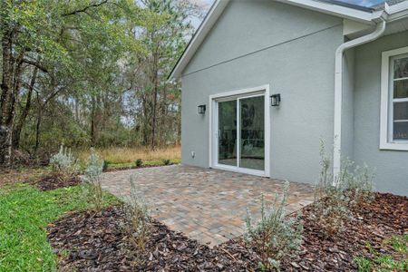 New construction Single-Family house 4586 Hickory Oak Drive, Brooksville, FL 34601 - photo 45 45