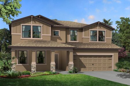 New construction Single-Family house 31835 Sapna Chime Drive, Wesley Chapel, FL 33545 Salinas- photo 0
