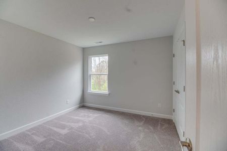 New construction Single-Family house 776 Spring Crest Drive, Angier, NC 27501 - photo 53