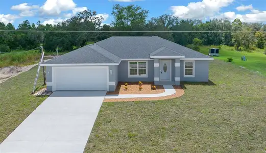 New construction Single-Family house 6260 Sw 144Th Lane Road, Ocala, FL 34473 - photo 0