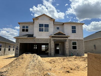 New construction Single-Family house 906 Pointe Emerson Boulevard, Apopka, FL 32703 Santa Barbara II - Eco Series- photo 10 10