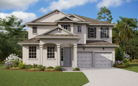 New construction Single-Family house Biscayne - 50' Homesites, 4417 Lions Gate Avenue, Clermont, FL 34711 - photo
