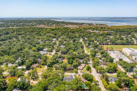 New construction Single-Family house 408 Palm Street, Mount Pleasant, SC 29464 - photo 79 79