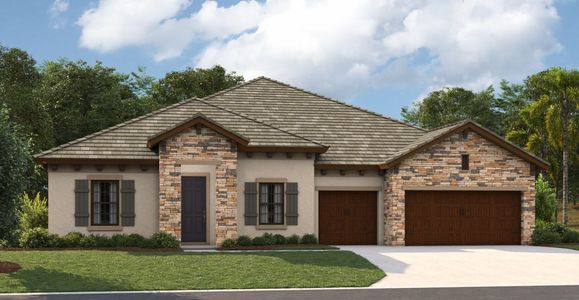 New construction Single-Family house 12832 Twin Bridges Drive, Riverview, FL 33579 - photo 9 9