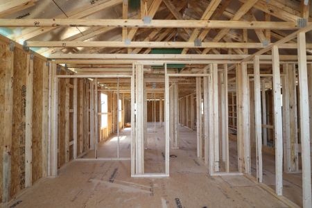 New construction Single-Family house 2881 Misty Marble Drive, Zephyrhills, FL 33540 Castellana- photo 21 21