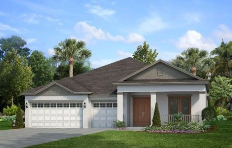 New construction Single-Family house 5961 Blakeney Loop, Apollo Beach, FL 33572 Teton- photo 0