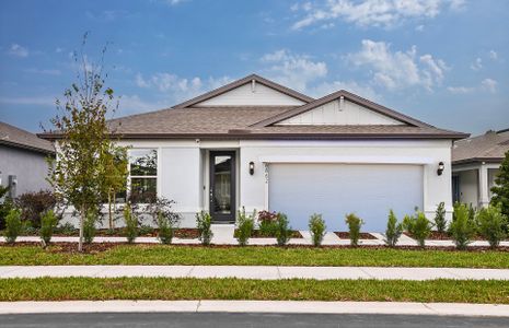 New construction Single-Family house 4199 Feldspar Lane, Spring Hill, FL 34609 Heston- photo 0