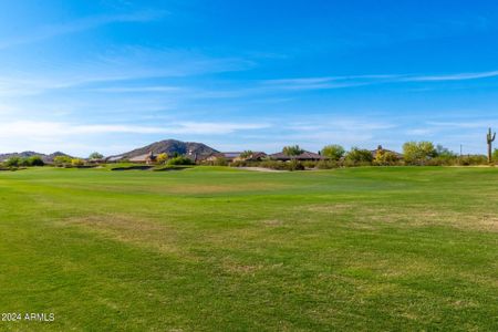 New construction Single-Family house 16041 S 184Th Drive, Goodyear, AZ 85338 - photo 59 59