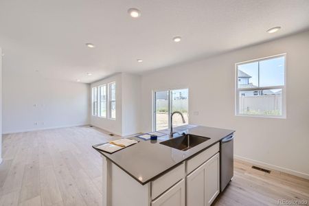 New construction Single-Family house 3934 N Picadilly Court, Aurora, CO 80019 Elbert- photo 7 7