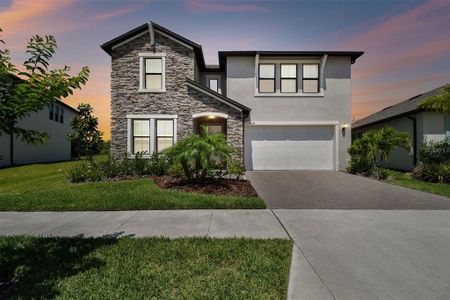 New construction Single-Family house 21622 Violet Periwinkle Drive, Land O' Lakes, FL 34637 - photo 1 1