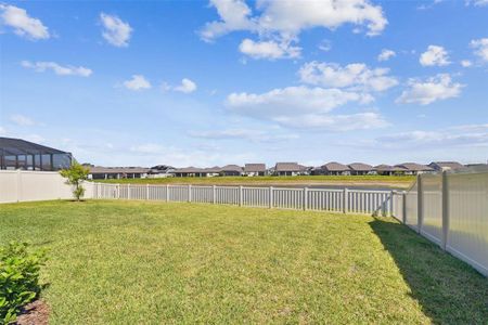 New construction Single-Family house 9422 Ibis Grove Boulevard, Wesley Chapel, FL 33545 - photo 42 42