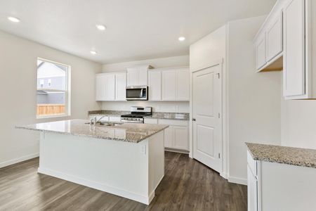 New construction Single-Family house 14065 Alpine Phlox Ln, Parker, CO 80134 HOLCOMBE- photo 17 17