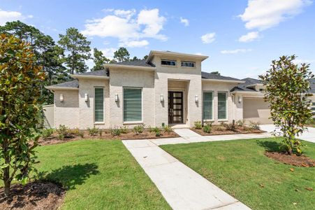 New construction Single-Family house 14 Arctic Tern Circle, Magnolia, TX 77354 - photo 0