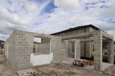 New construction Single-Family house 2463 Sunny Pebble Loop, Zephyrhills, FL 33540 Castellana- photo 5 5
