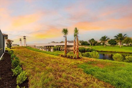 New construction Single-Family house 1529 Rio Vista Terrace, Parrish, FL 34219 - photo 4 4