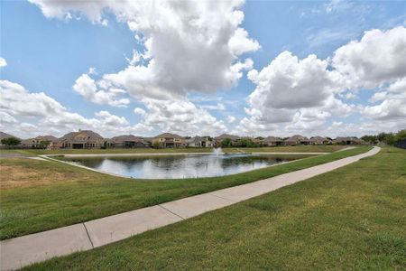 New construction Single-Family house 20110 Garganey Dr, Pflugerville, TX 78660 - photo 37 37