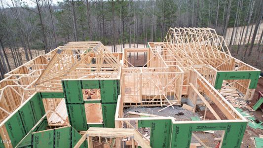 New construction Single-Family house 18 Pin Tail Court, Pittsboro, NC 27312 - photo 27 27