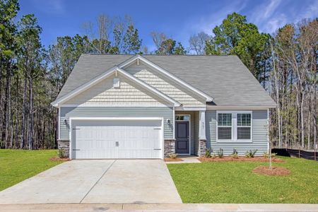 New construction Single-Family house West Smith Street, Lincolnville, SC 29485 - photo 1 1