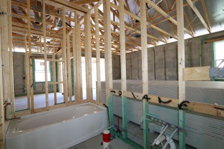 New construction Single-Family house 33224 Amling Pecan Branch, Wesley Chapel, FL 33545 Newport II- photo 27 27