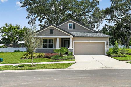 New construction Single-Family house 1009 Davis Heather Circle, Seffner, FL 33584 Sweetwater- photo 0 0