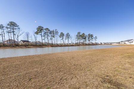 New construction Single-Family house 555 Dunswell Drive, Summerville, SC 29486 - photo 48 48