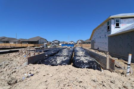 New construction Single-Family house 12310 Purple Prairie Ln, Buda, TX 78610 - photo 5 5