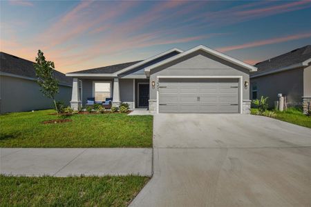 New construction Single-Family house 12350 Terrace Bluff Street, Riverview, FL 33579 - photo 2 2