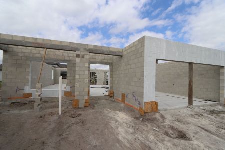 New construction Single-Family house 38177 Shale Stone Court, Zephyrhills, FL 33540 Alenza- photo 6 6