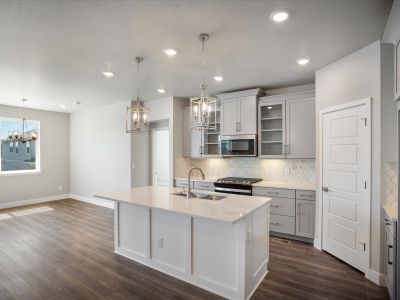 New construction Single-Family house 8177 Mount Ouray Road, Littleton, CO 80125 - photo 6 6