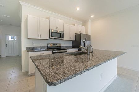 New construction Townhouse house 8836 Gallantree Place, Land O' Lakes, FL 34637 Mulberry- photo 5 5