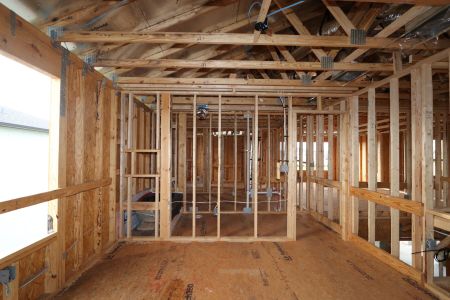 New construction Single-Family house 3024 King Fern Drive, Wimauma, FL 33598 Mira Lago- photo 29 29