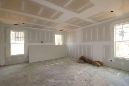 New construction Single-Family house 3052 June Lake Station, Apex, NC 27502 Arcadia - Premier Collection- photo 24 24