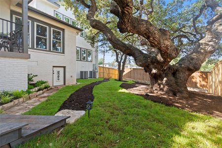 New construction Single-Family house 2110 Travis Heights Blvd, Austin, TX 78704 - photo 28 28