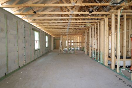 New construction Single-Family house 31843 Sapna Chime Drive, Wesley Chapel, FL 33545 Picasso- photo 41 41
