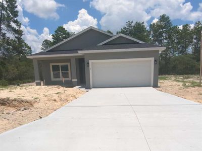 New construction Single-Family house 3 Fisher Place Drive, Ocklawaha, FL 32179 - photo 0