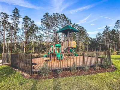 New construction Single-Family house 6051 Arbor Watch Loop, Orlando, FL 32829 - photo 51 51