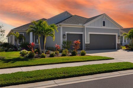 New construction Single-Family house 14264 Skipping Stone Loop, Parrish, FL 34219 - photo 4 4