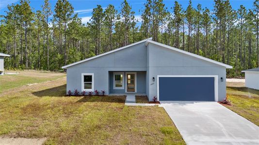 New construction Single-Family house 7883 Sw 138Th Street Road, Ocala, FL 34473 - photo 0